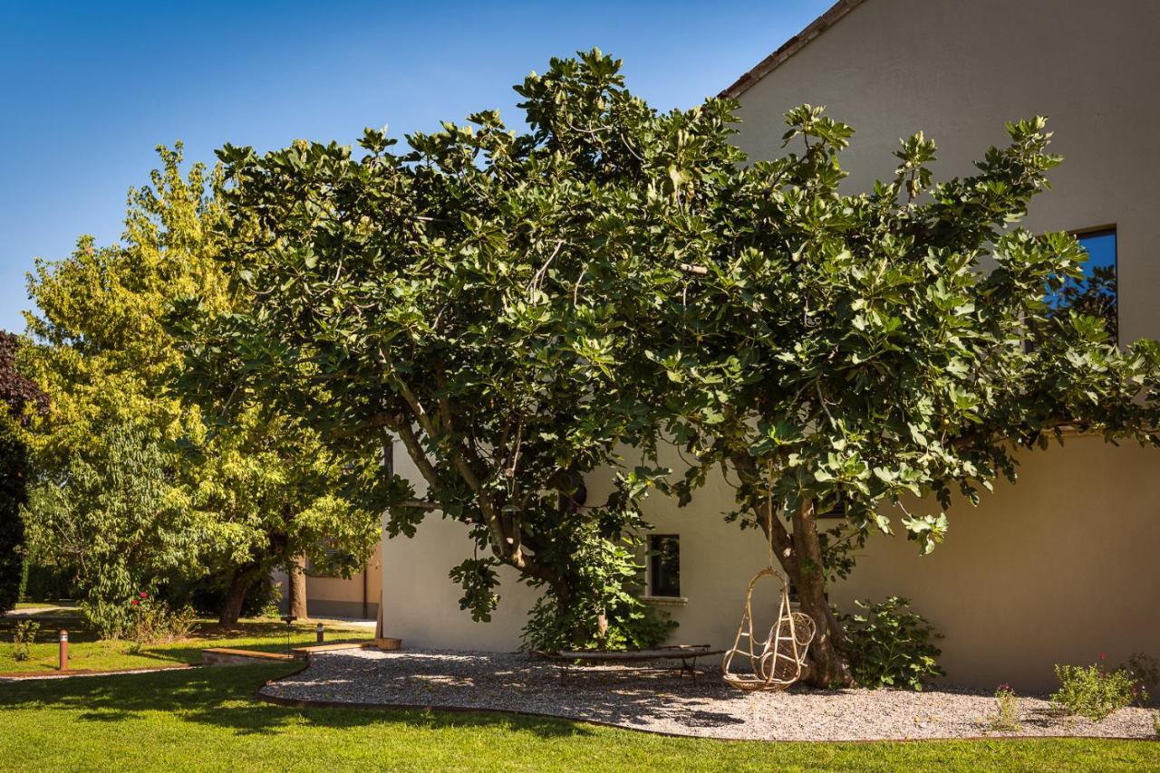 Case Zucchi Bioagriturismo Castelnuovo Fogliani Экстерьер фото